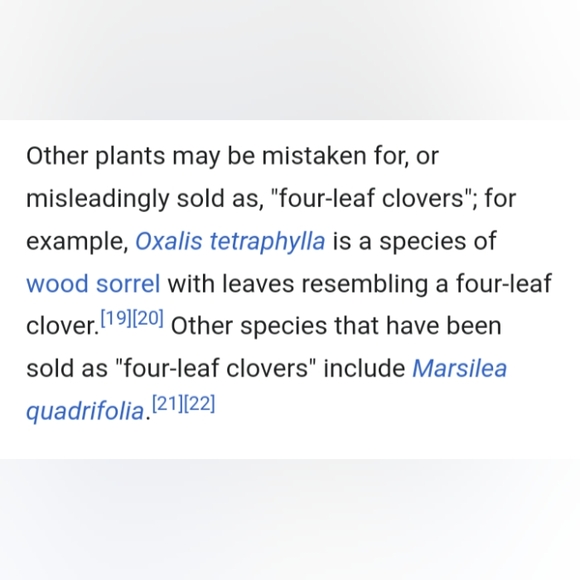 🍀 Wild Four Leaf Clover REAL Just for You Found 4 /22/23 USA yard Lucky Clovers - Picture 15 of 15